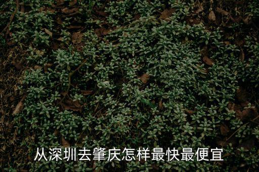 深圳到肇慶，從深圳去肇慶怎樣最快最便宜