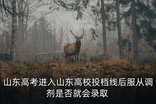 山東高考進入山東高校投檔線后服從調劑是否就會錄取