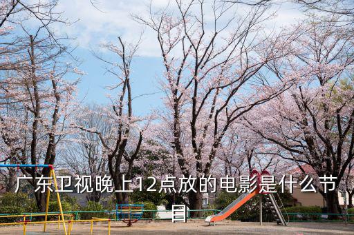 廣東衛(wèi)視晚上12點(diǎn)放的電影是什么節(jié)目
