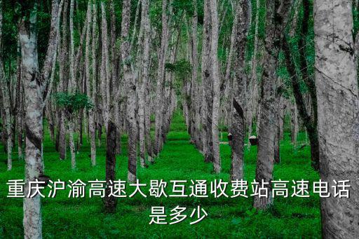 收費(fèi)站電話怎么查，重慶滬渝高速大歇互通收費(fèi)站高速電話是多少