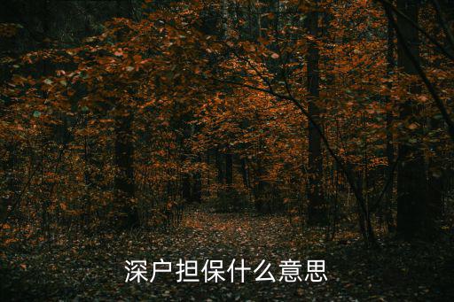 深圳擔保，深戶擔保要怎么擔保