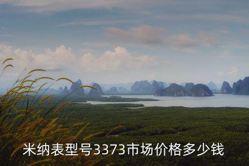 米納表型號(hào)3373市場(chǎng)價(jià)格多少錢(qián)