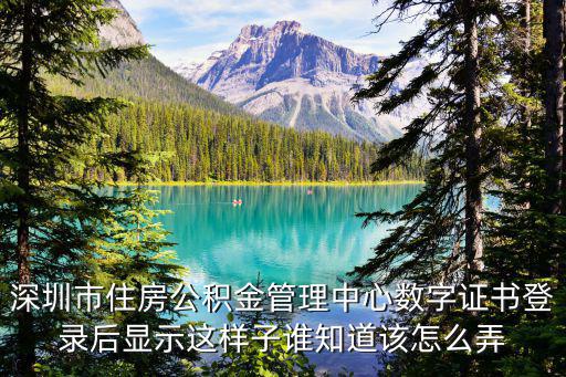 深圳市住房公積金管理中心數(shù)字證書登錄后顯示這樣子誰(shuí)知道該怎么弄