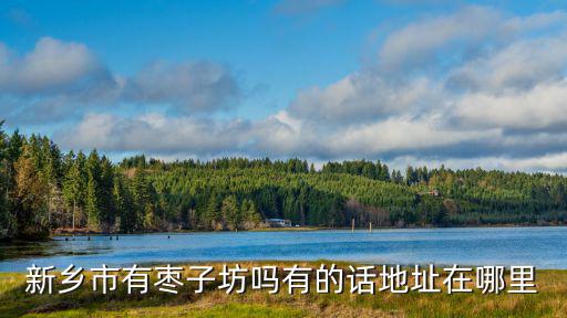新鄉市有棗子坊嗎有的話地址在哪里