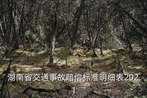 湖南省交通事故賠償標準明細表2021