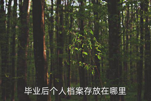 畢業(yè)后個(gè)人檔案存放在哪里
