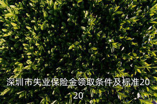 深圳市失業(yè)保險金領取條件及標準2020