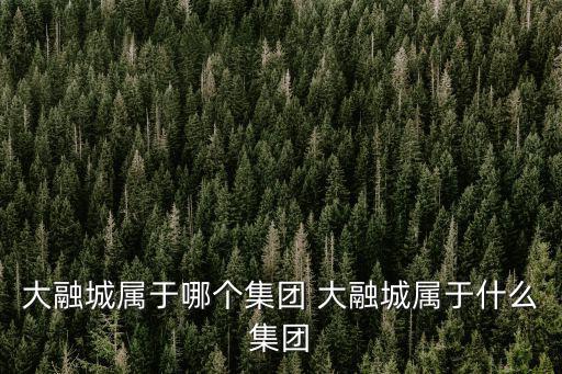 大融城屬于哪個集團 大融城屬于什么集團