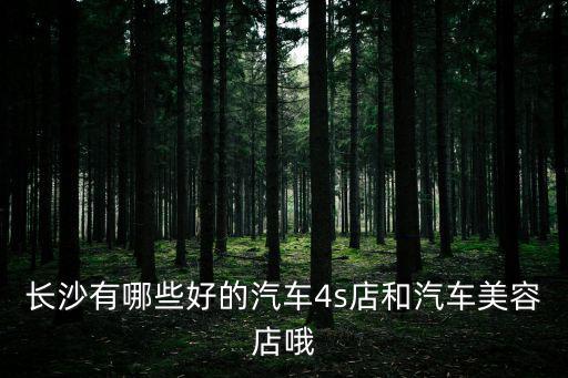 長沙有哪些好的汽車4s店和汽車美容店哦