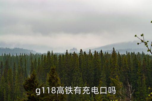 g118高鐵有充電口嗎