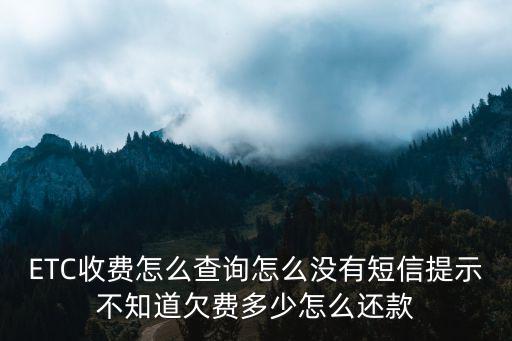 ETC收費怎么查詢怎么沒有短信提示不知道欠費多少怎么還款