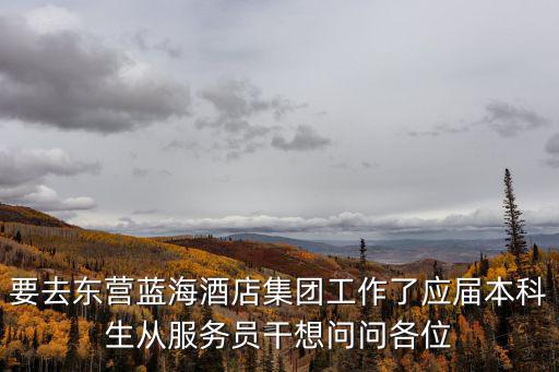 要去東營藍海酒店集團工作了應(yīng)屆本科生從服務(wù)員干想問問各位