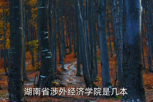 湖南省涉外經濟學院，湖南省涉外經濟學院是幾本