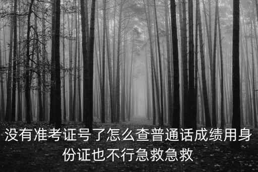 沒有準考證號了怎么查普通話成績用身份證也不行急救急救