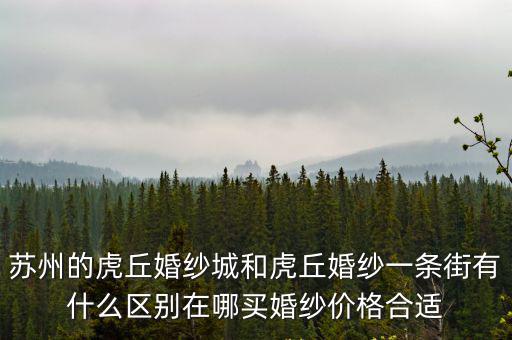 蘇州的虎丘婚紗城和虎丘婚紗一條街有什么區別在哪買婚紗價格合適