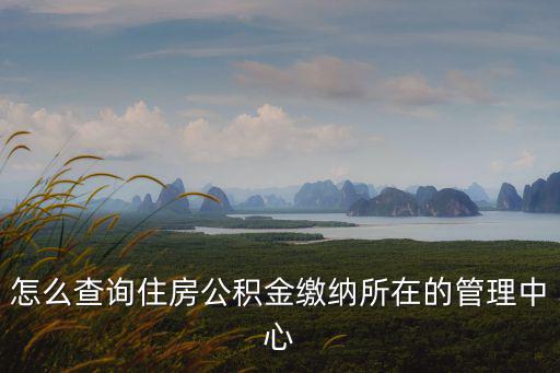 怎么查詢住房公積金繳納所在的管理中心