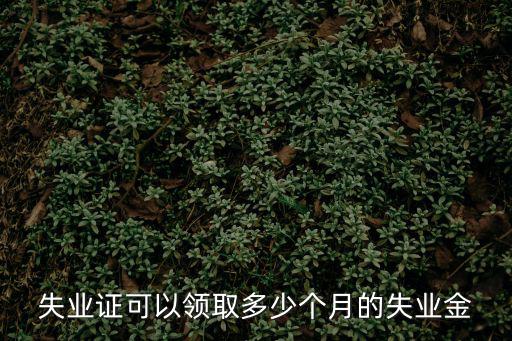 失業證可以領取多少個月的失業金