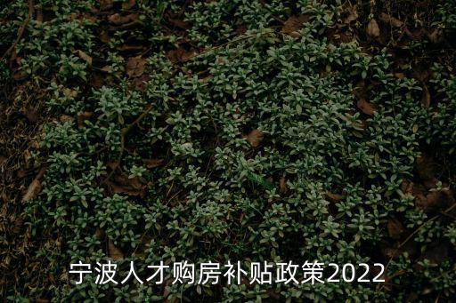 人才購房補貼，寧波人才購房補貼政策2022