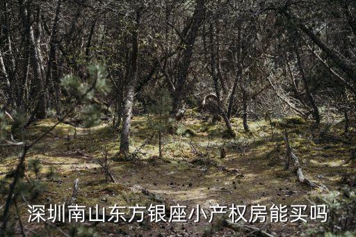 深圳南山東方銀座小產(chǎn)權(quán)房能買嗎