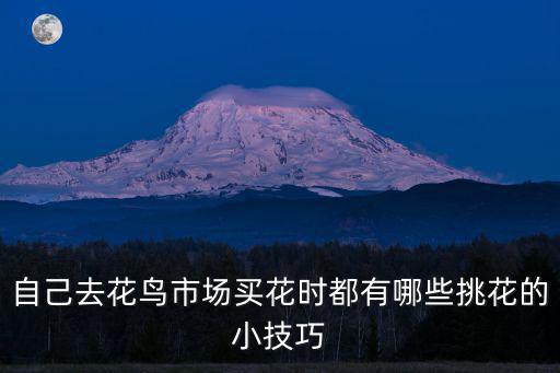 花市買(mǎi)花，為什么廣東在春節(jié)時(shí)每家每戶(hù)都買(mǎi)花有花市