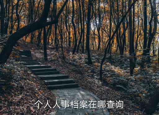 個人人事檔案在哪查詢