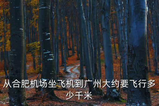 從合肥機場坐飛機到廣州大約要飛行多少千米