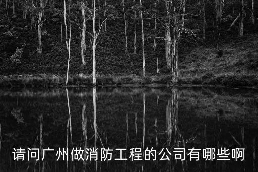 請問廣州做消防工程的公司有哪些啊