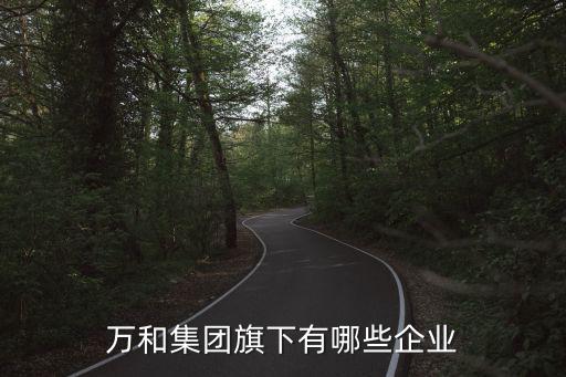 萬(wàn)和集團(tuán)旗下有哪些企業(yè)