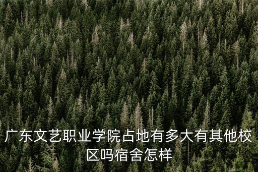廣東文藝職業學院占地有多大有其他校區嗎宿舍怎樣