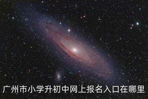 廣州市小學升初中網上報名入口在哪里