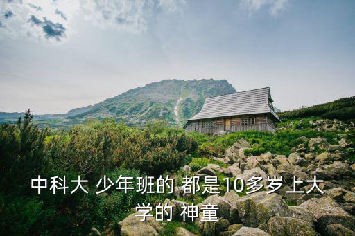 中科大 少年班的 都是10多歲上大學的 神童