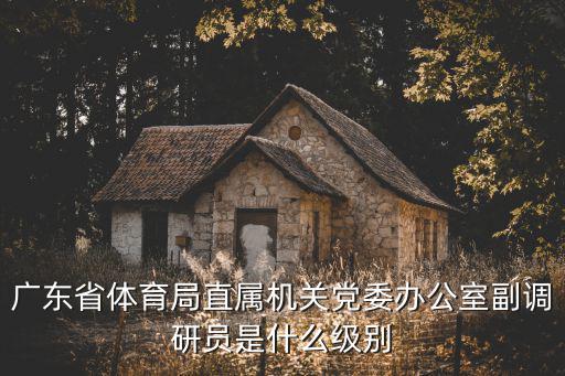 廣東省體育局直屬機關黨委辦公室副調研員是什么級別