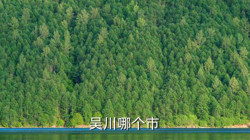 吳川哪個(gè)市