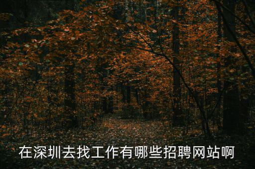 在深圳去找工作有哪些招聘網站啊