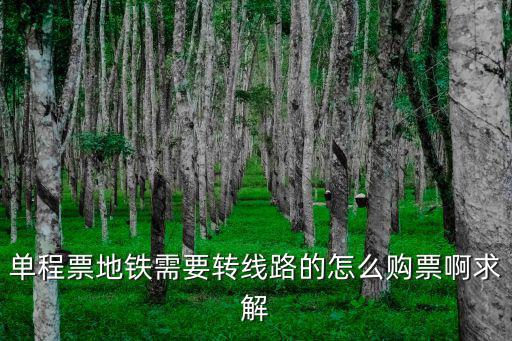 單程票地鐵需要轉線路的怎么購票啊求解