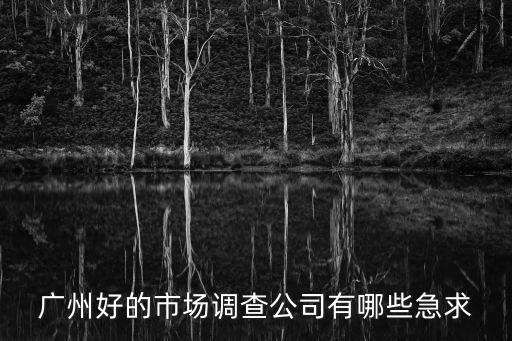 廣州好的市場調查公司有哪些急求
