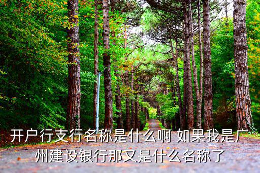 開戶行支行名稱是什么啊 如果我是廣州建設銀行那又是什么名稱了