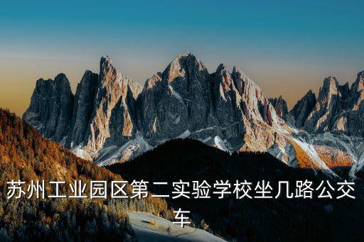園區二中，蘇州園區二中是不是一個悲劇