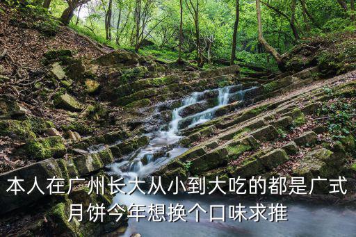 本人在廣州長大從小到大吃的都是廣式月餅今年想換個口味求推