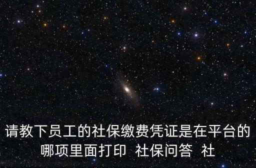 請教下員工的社保繳費憑證是在平臺的哪項里面打印  社保問答  社