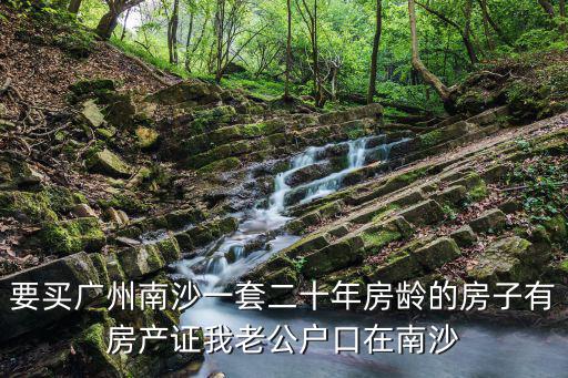 南沙二手房網，廣州南沙一般般二手二房一廳的房子大概要多少錢才可以買到房子