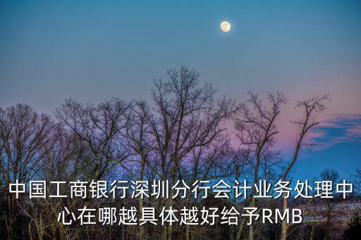 中國(guó)工商銀行深圳分行會(huì)計(jì)業(yè)務(wù)處理中心在哪越具體越好給予RMB