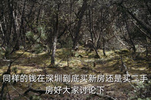 同樣的錢在深圳到底買新房還是買二手房好大家討論下