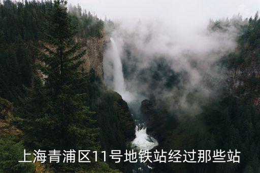上海青浦區(qū)11號(hào)地鐵站經(jīng)過那些站