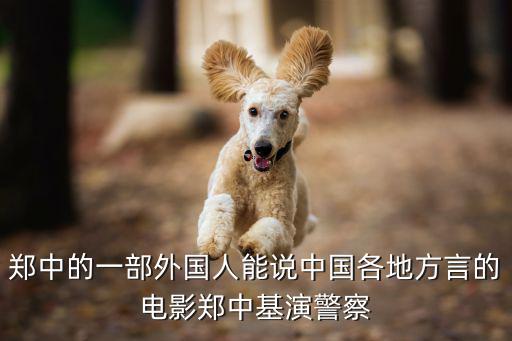 鄭中的一部外國人能說中國各地方言的電影鄭中基演警察