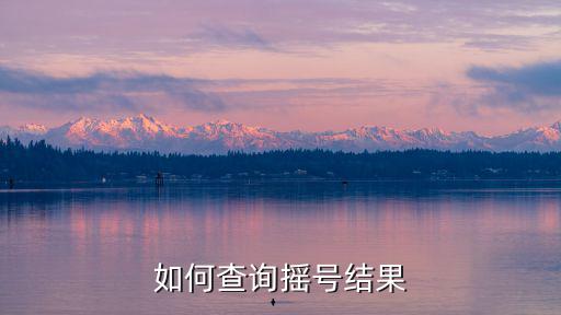 小汽車(chē)搖號(hào)系統(tǒng)，深圳小汽車(chē)搖號(hào)未中簽第二個(gè)月如何轉(zhuǎn)為競(jìng)價(jià)