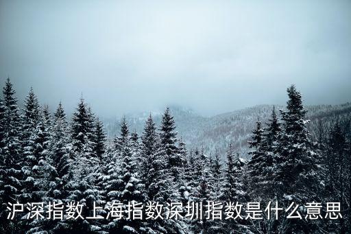 滬深指數上海指數深圳指數是什么意思