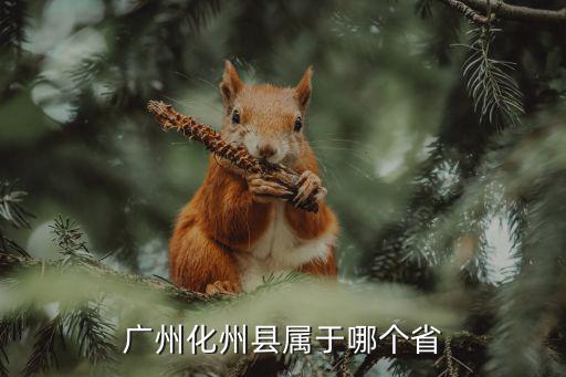 廣州化州縣屬于哪個省