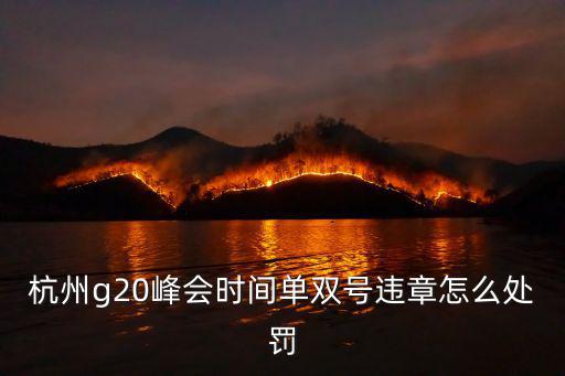 杭州g20峰會，杭州g20峰會時間單雙號違章怎么處罰