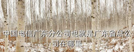 中國電信廣東分公司也就是廣東省總公司在哪里